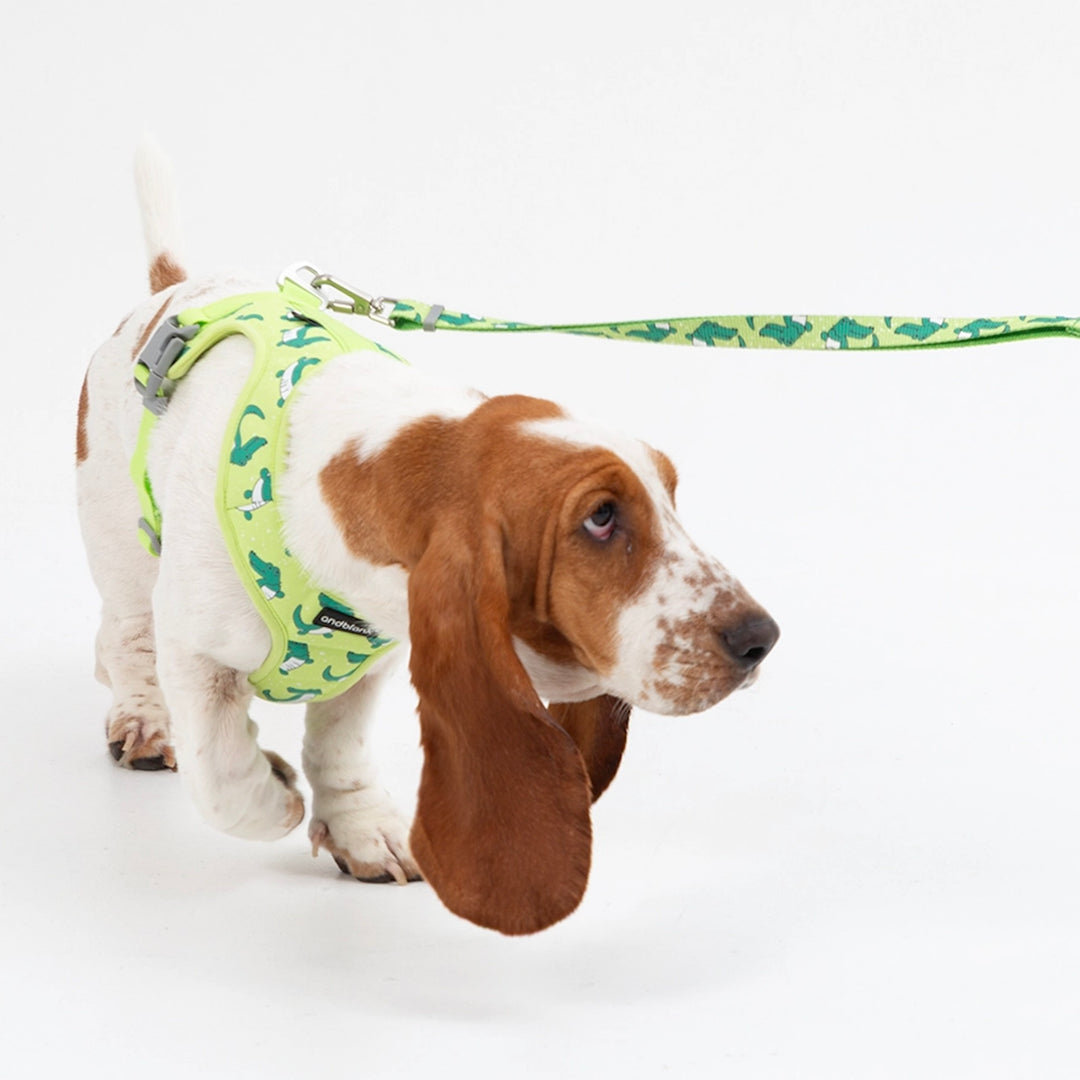 ※予約販売【andblank】ICONIC Lazy Crocodile Hands Free Leash（Green）