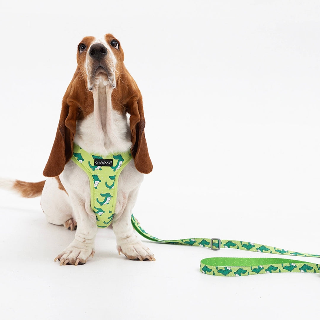 ※予約販売【andblank】ICONIC Lazy Crocodile Hands Free Leash（Green）