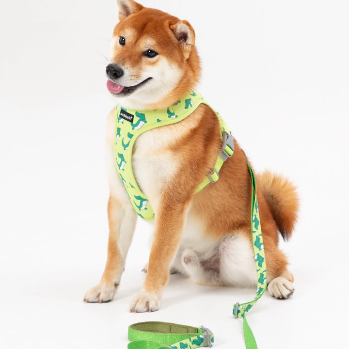 ※予約販売【andblank】ICONIC Lazy Crocodile Hands Free Leash（Green）