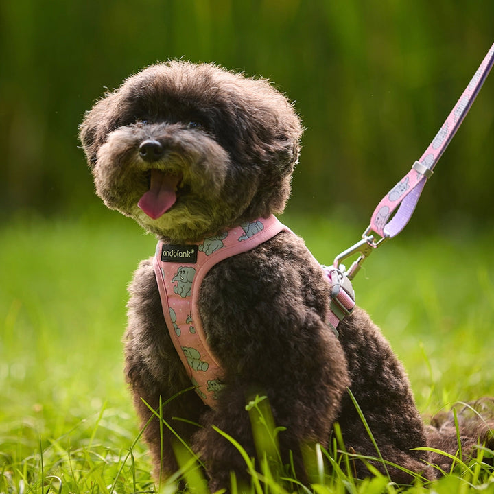 即納【andblank】ICONIC Jelly Phant Hands Free Leash（Pink）