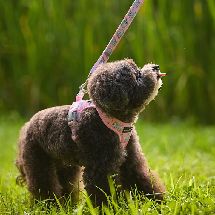 即納【andblank】ICONIC Jelly Phant Hands Free Leash（Pink）