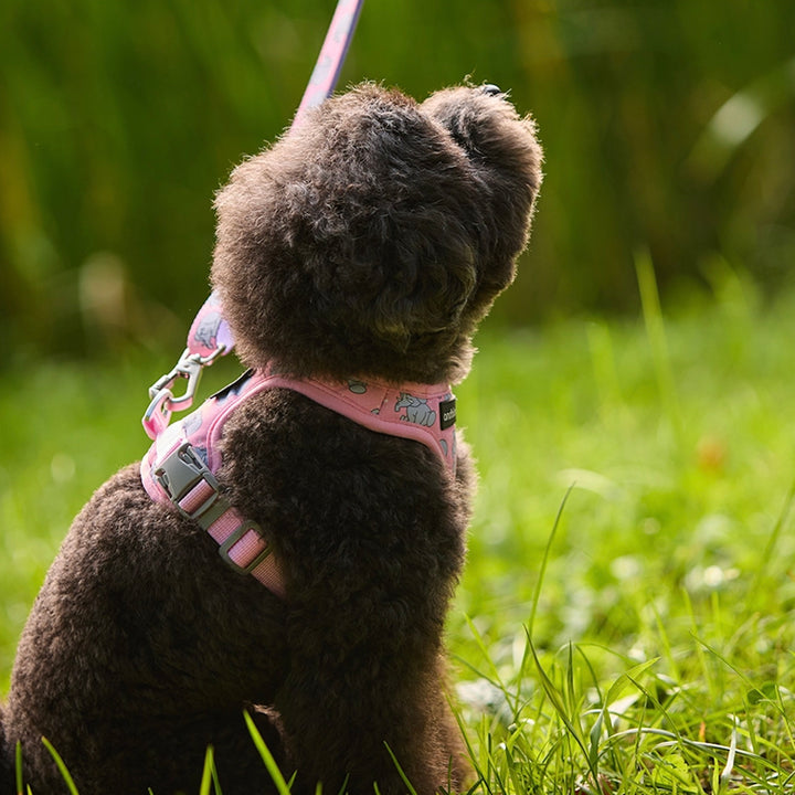 即納【andblank】ICONIC Jelly Phant Hands Free Leash（Pink）