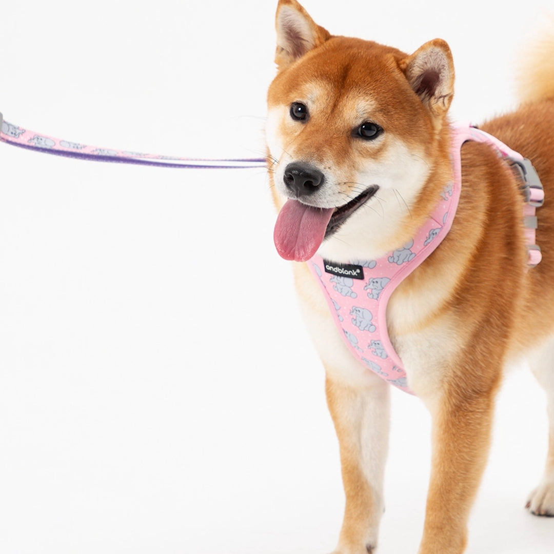 即納【andblank】ICONIC Jelly Phant Hands Free Leash（Pink）