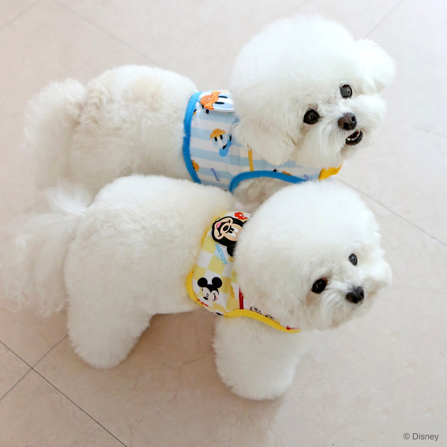 即納【ITS DOG】Disney Cool harness｜犬用ハーネス