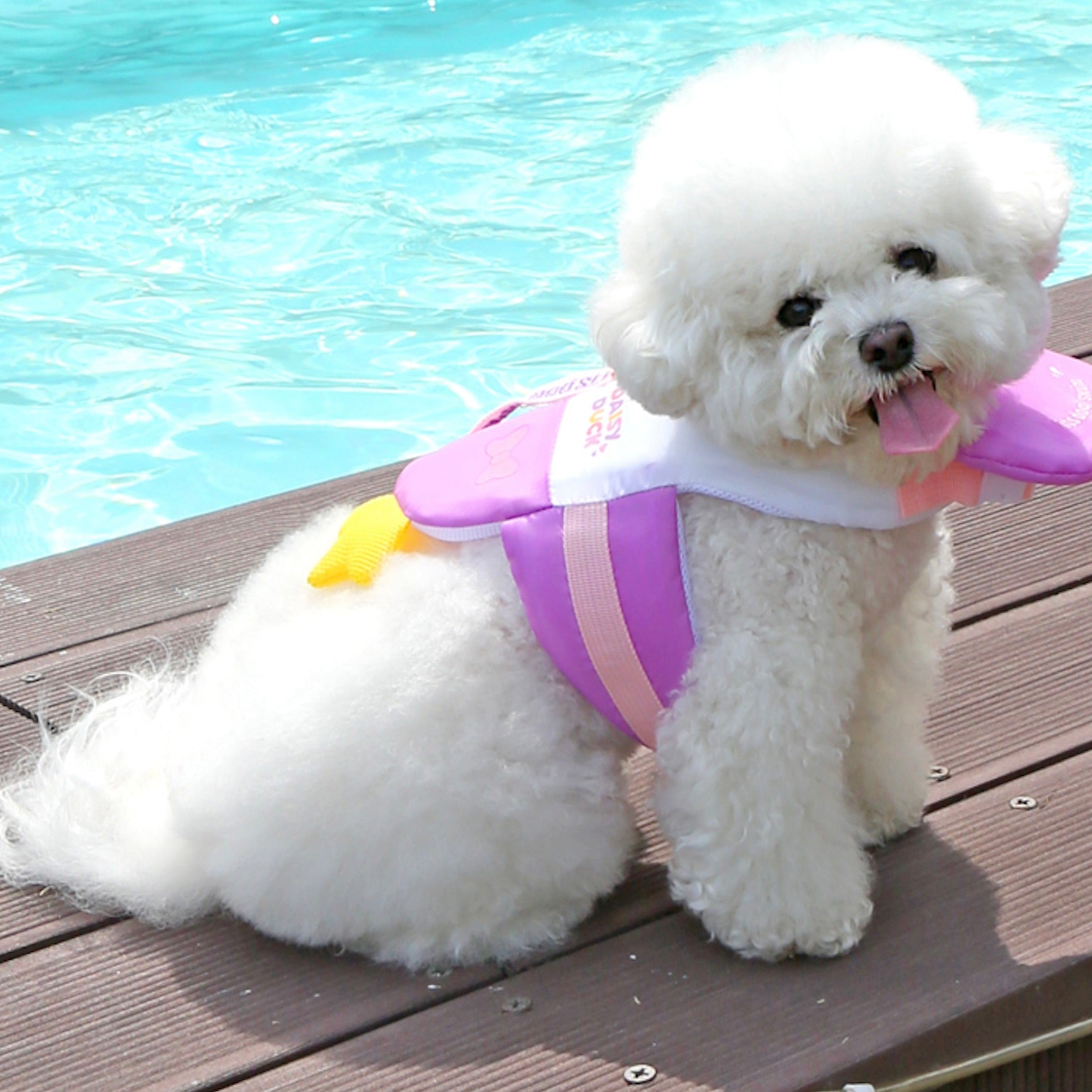 海外犬服 高品質なインポートのドッグウェア通販 