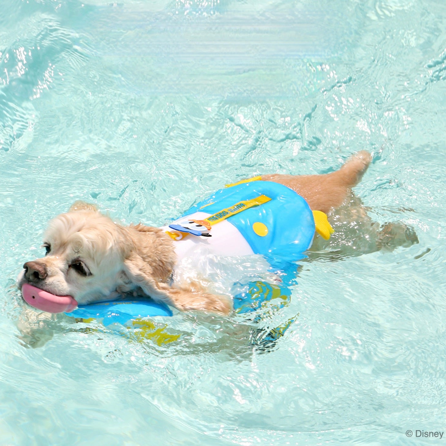 即納【ITS DOG】Disney Life Jacket（Donald）
