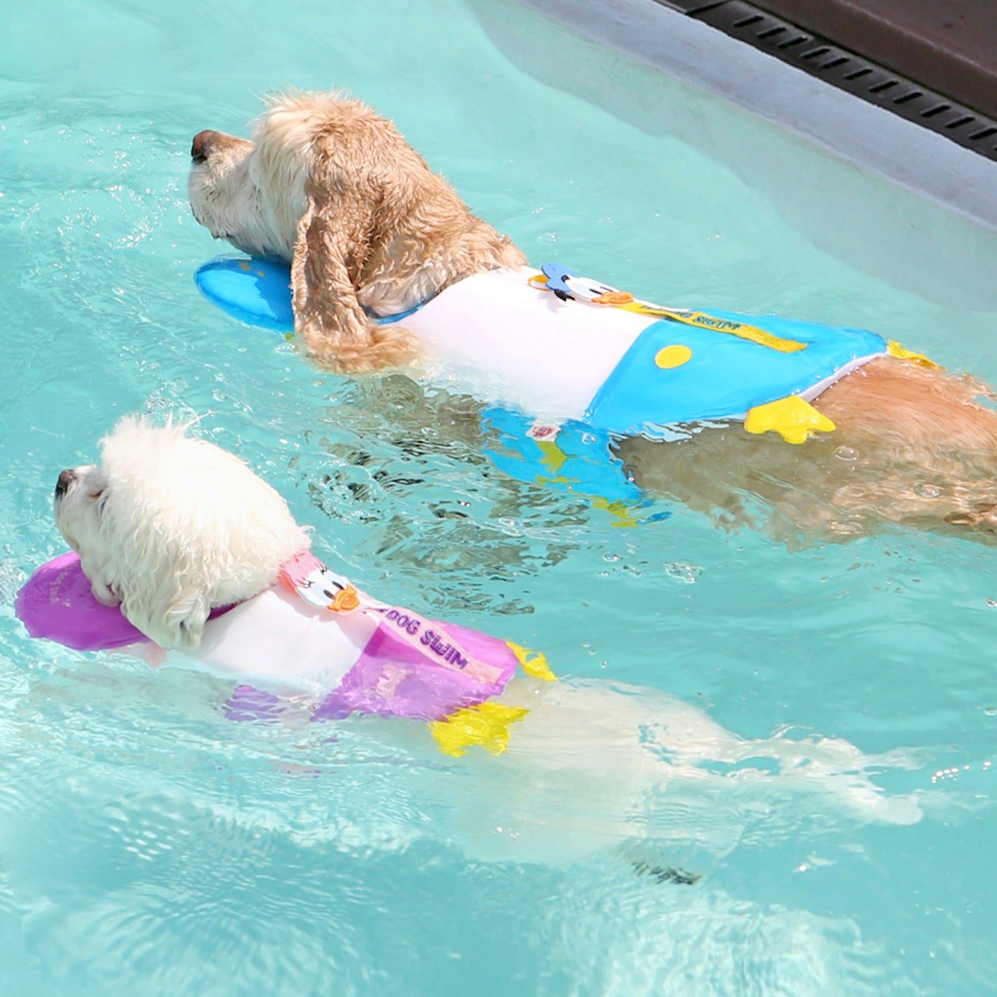 即納【ITS DOG】Disney Life Jacket（Daisy）