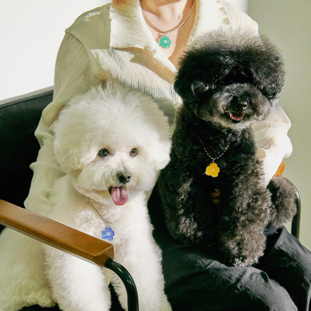 ※予約販売【foreverybari】PENSÉE Necklace