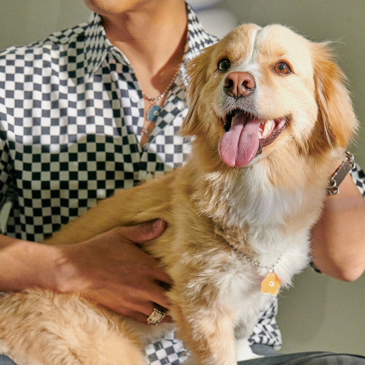 ※予約販売【foreverybari】PENSÉE Necklace