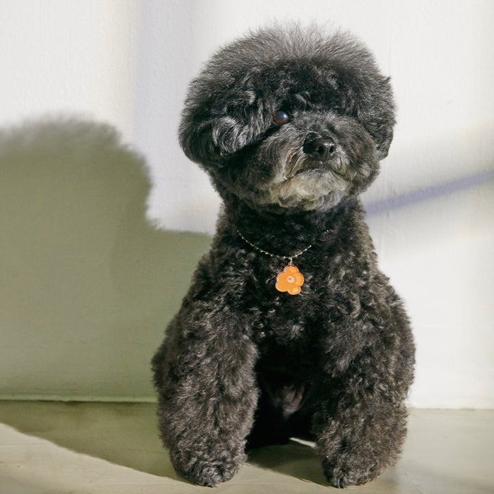 ※予約販売【foreverybari】PENSÉE Necklace