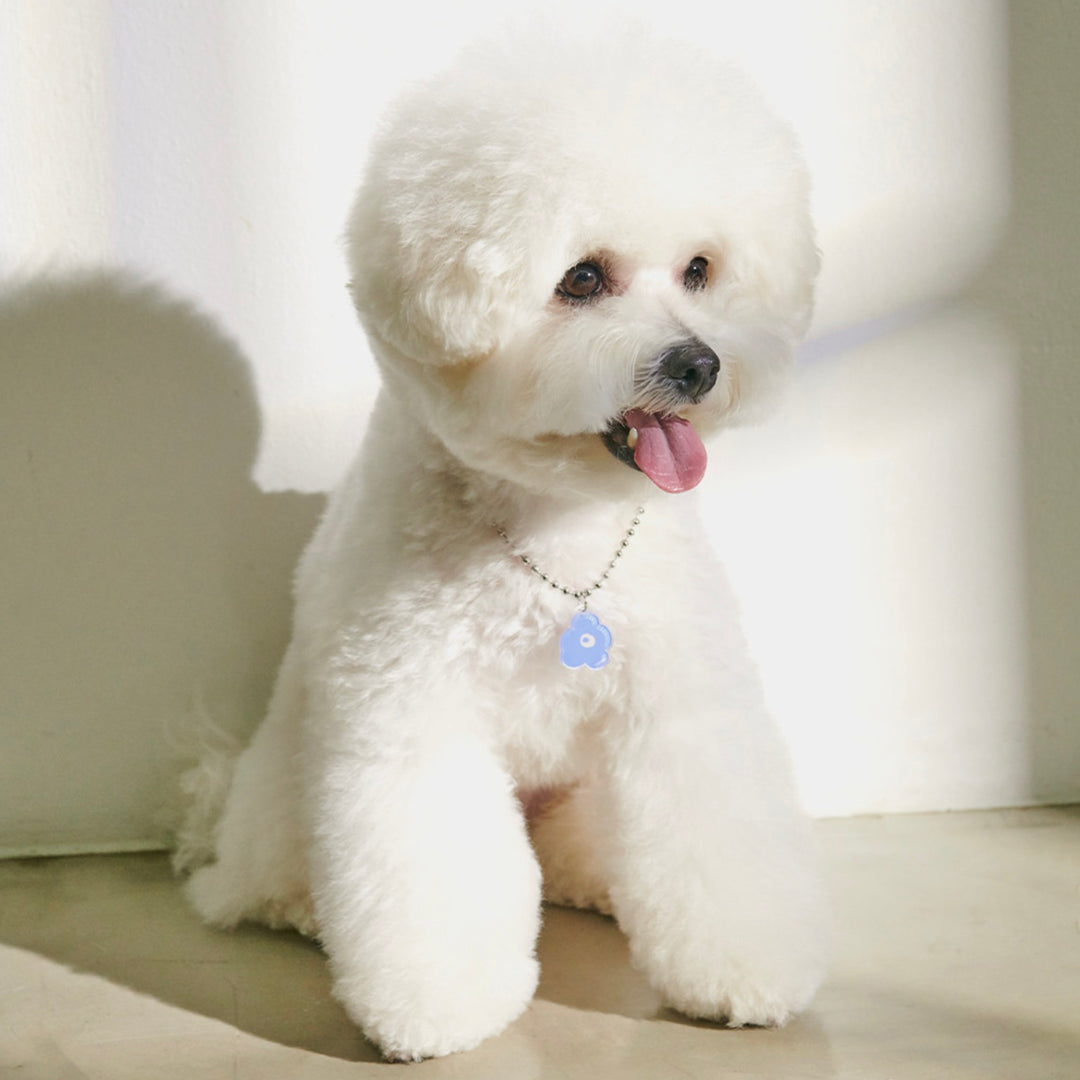 ※予約販売【foreverybari】PENSÉE Necklace