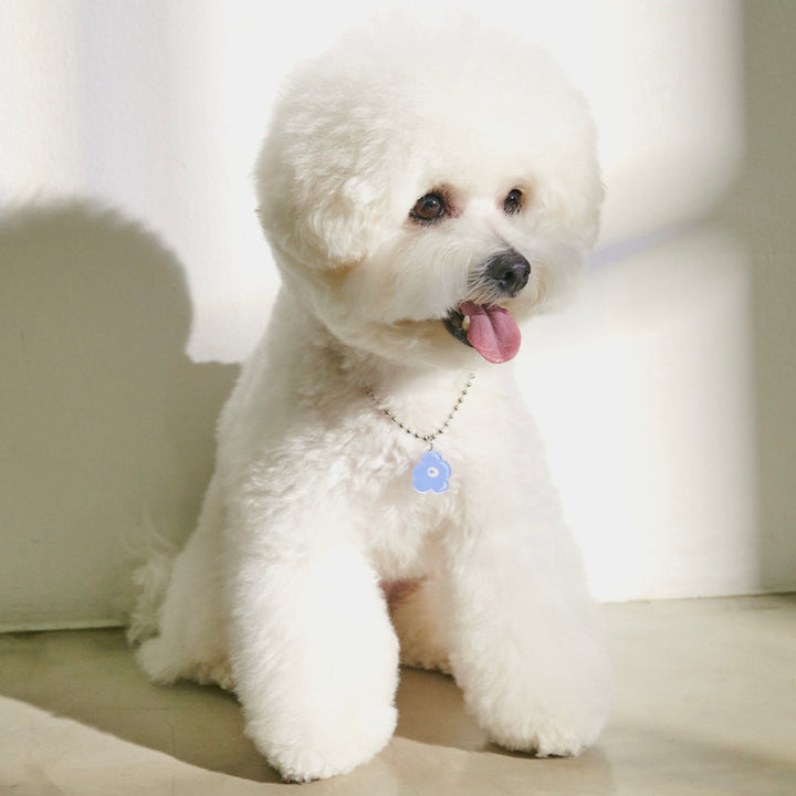 ※予約販売【foreverybari】PENSÉE Necklace