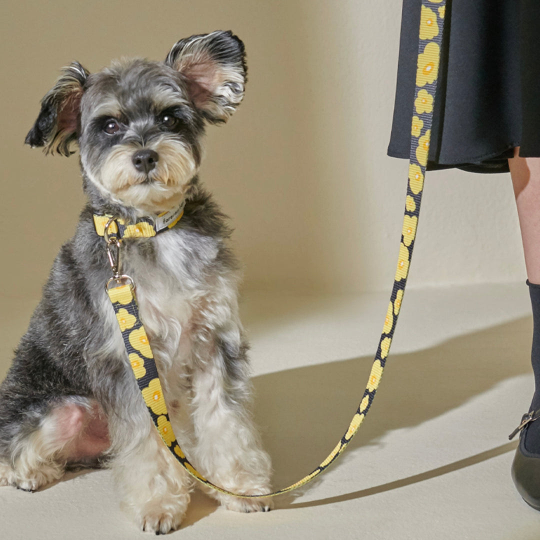 即納【foreverybari】PENSÉE Pet Leash（Yellow）