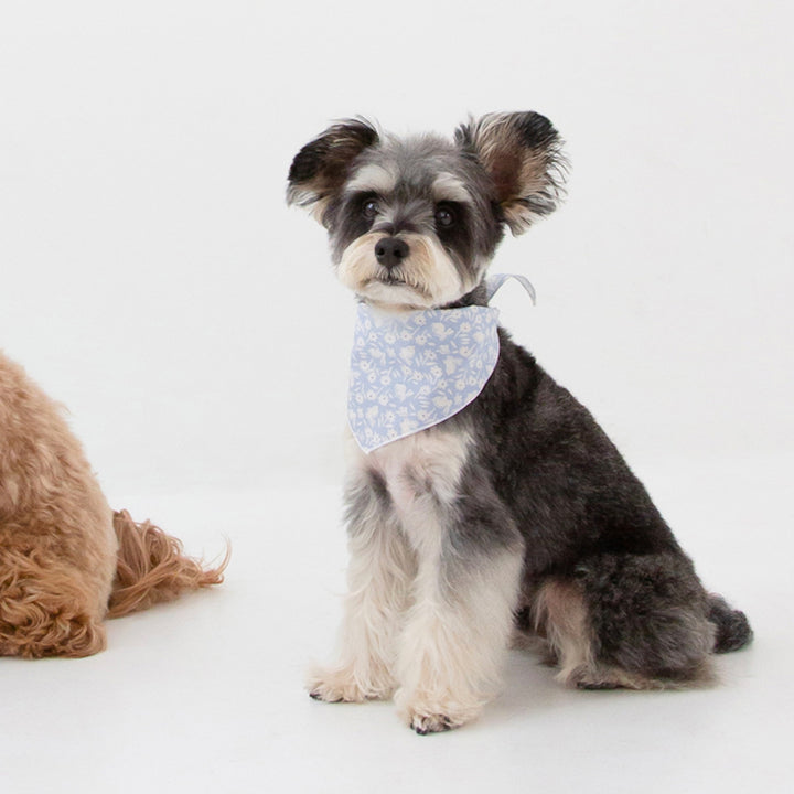 ※予約販売【foreverybari】Bunnies Scarf