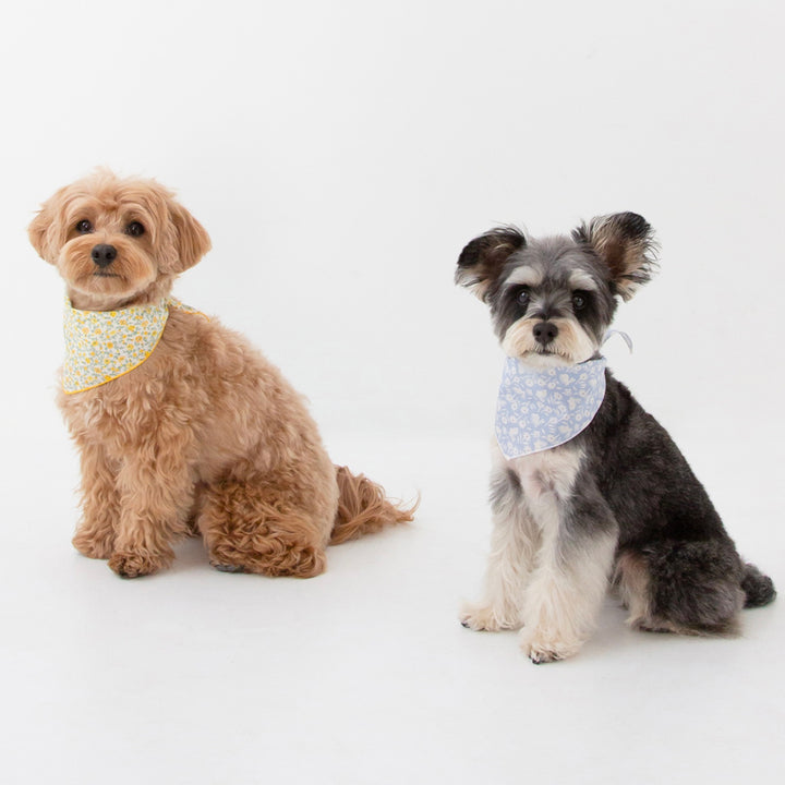 ※予約販売【foreverybari】Bunnies Scarf