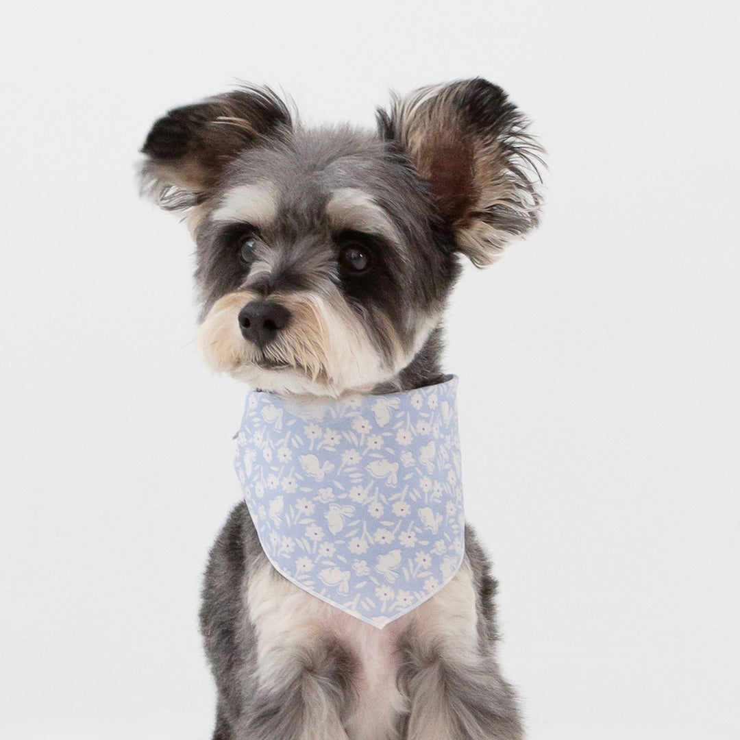 ※予約販売【foreverybari】Bunnies Scarf