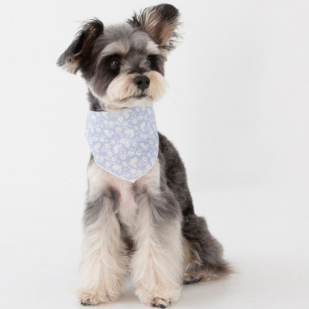 ※予約販売【foreverybari】Bunnies Scarf