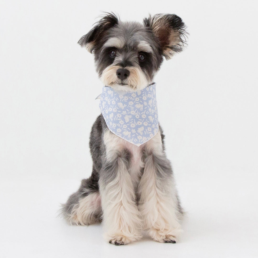 ※予約販売【foreverybari】Bunnies Scarf