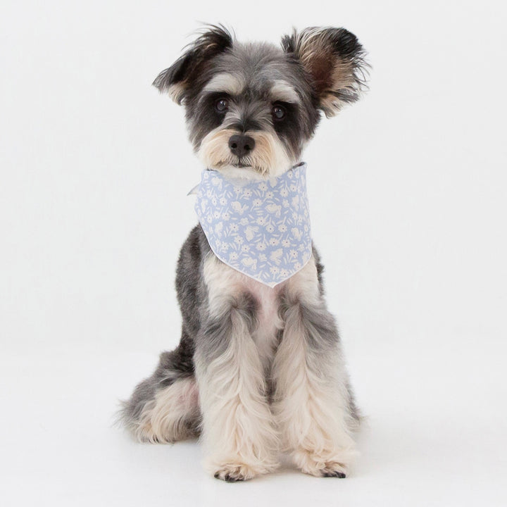 ※予約販売【foreverybari】Bunnies Scarf