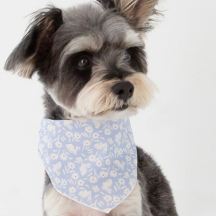 ※予約販売【foreverybari】Bunnies Scarf