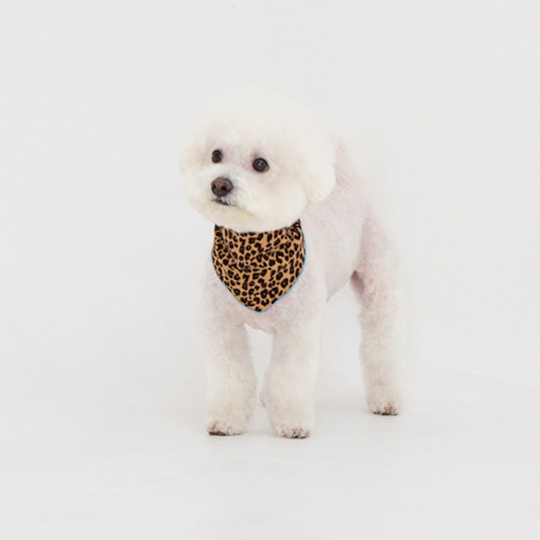 ※予約販売【foreverybari】City Leopard Scarf（Beige）