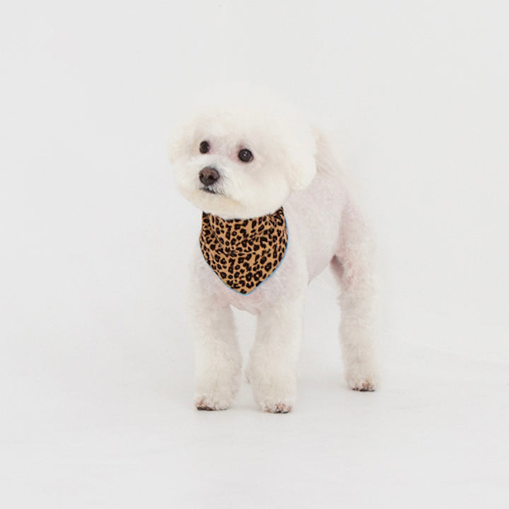 ※予約販売【foreverybari】City Leopard Scarf（Beige）