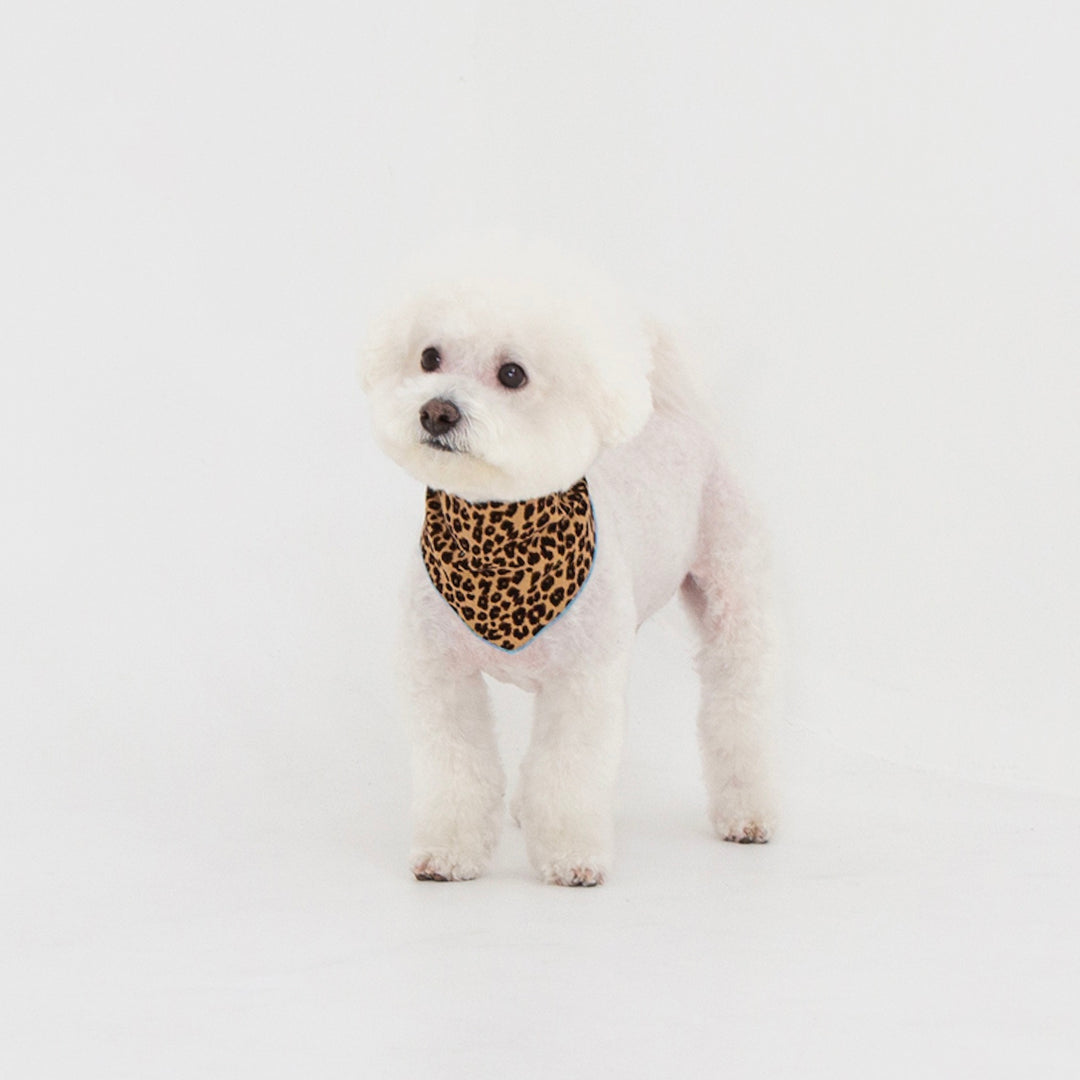 ※予約販売【foreverybari】City Leopard Scarf（Beige）