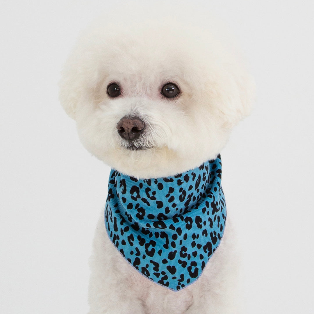 ※予約販売【foreverybari】City Leopard Scarf（Blue）