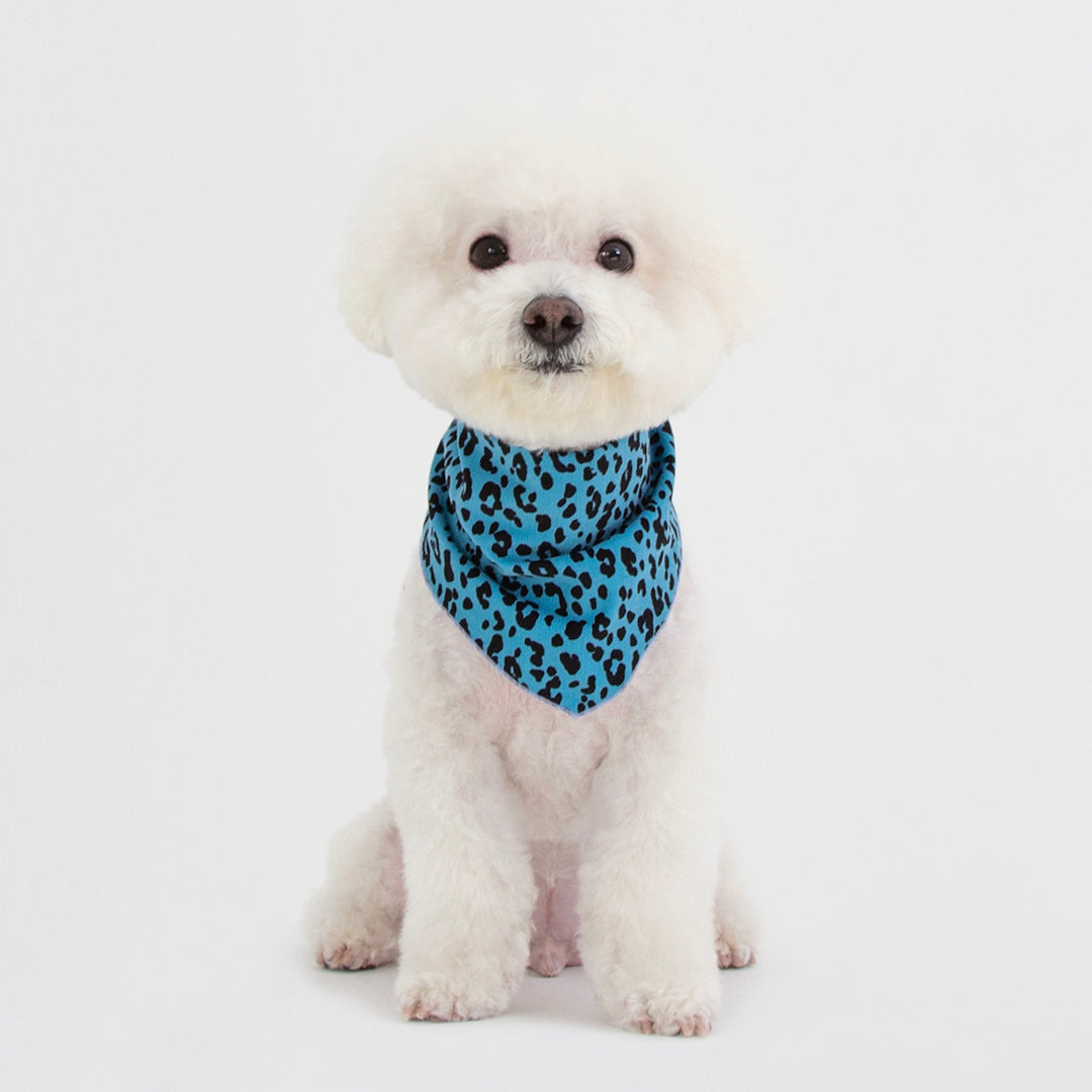 ※予約販売【foreverybari】City Leopard Scarf（Blue）