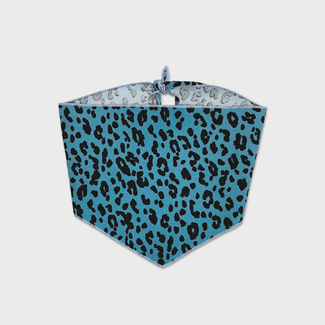 ※予約販売【foreverybari】City Leopard Scarf（Blue）