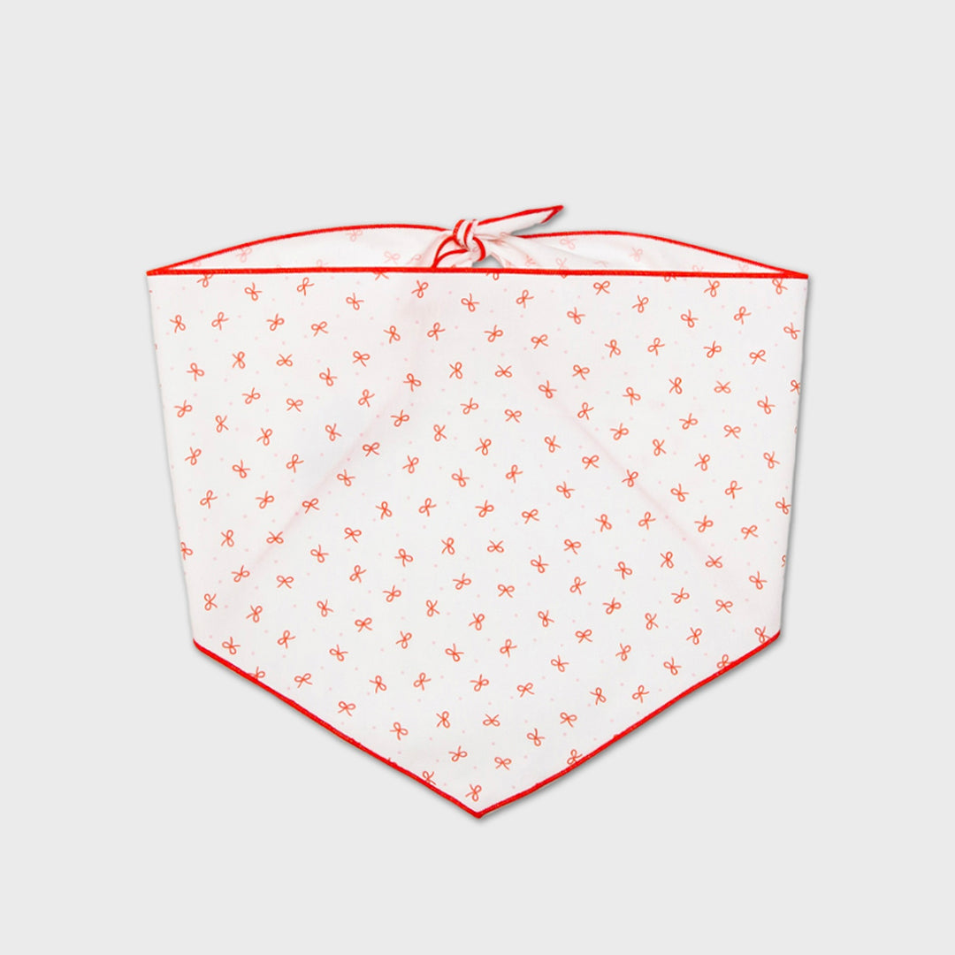 ※予約販売【foreverybari】Ribbon Scarf