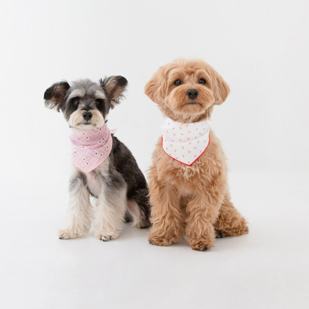 ※予約販売【foreverybari】Ribbon Scarf