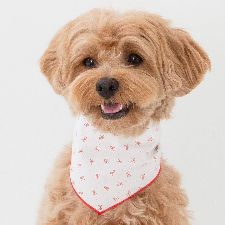 ※予約販売【foreverybari】Ribbon Scarf