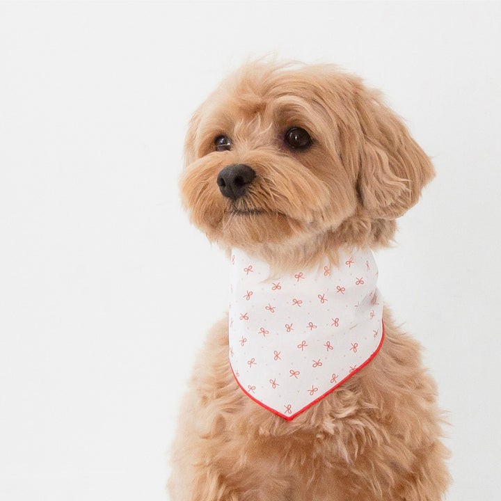 ※予約販売【foreverybari】Ribbon Scarf