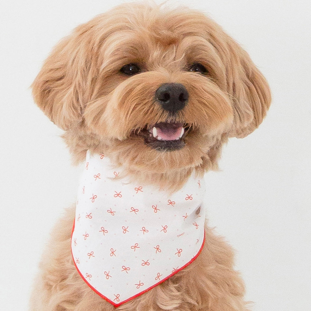 ※予約販売【foreverybari】Ribbon Scarf