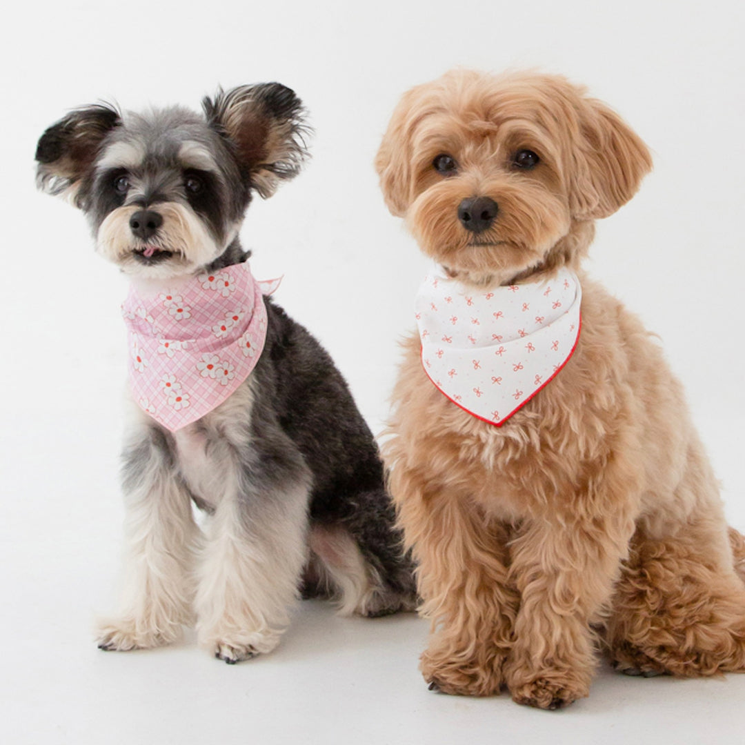 ※予約販売【foreverybari】Rosie Scarf