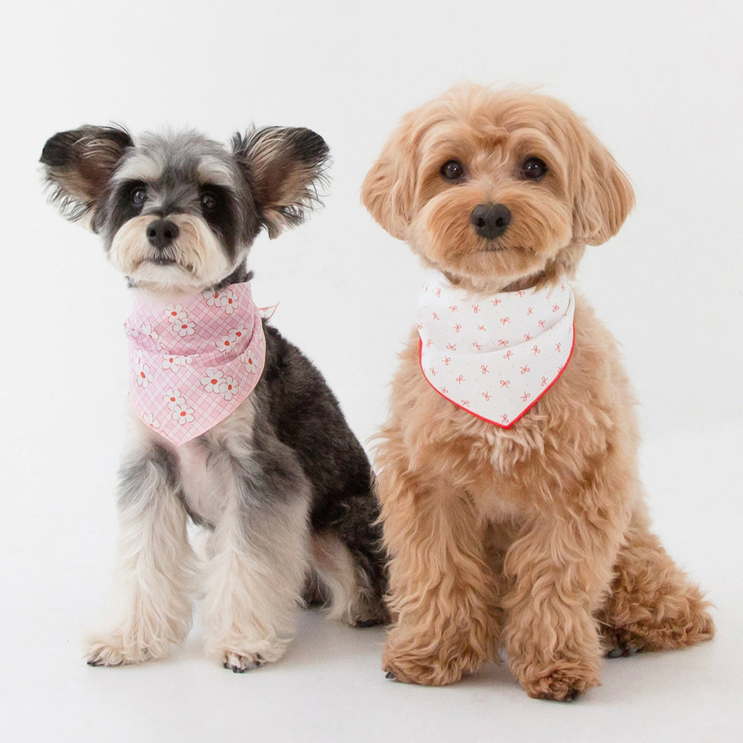 ※予約販売【foreverybari】Rosie Scarf