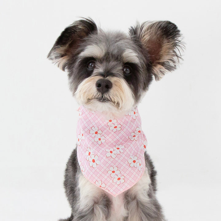 ※予約販売【foreverybari】Rosie Scarf