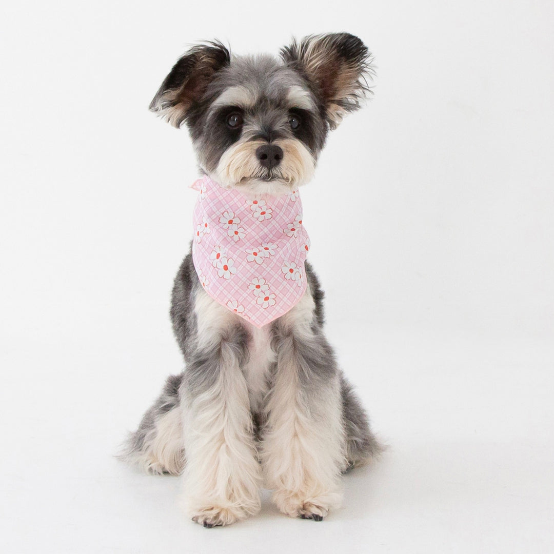 ※予約販売【foreverybari】Rosie Scarf