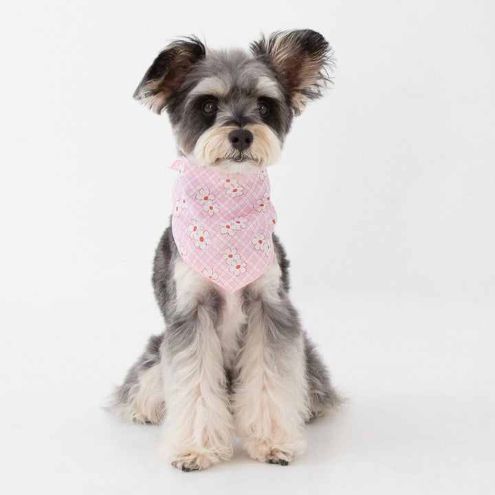 ※予約販売【foreverybari】Rosie Scarf