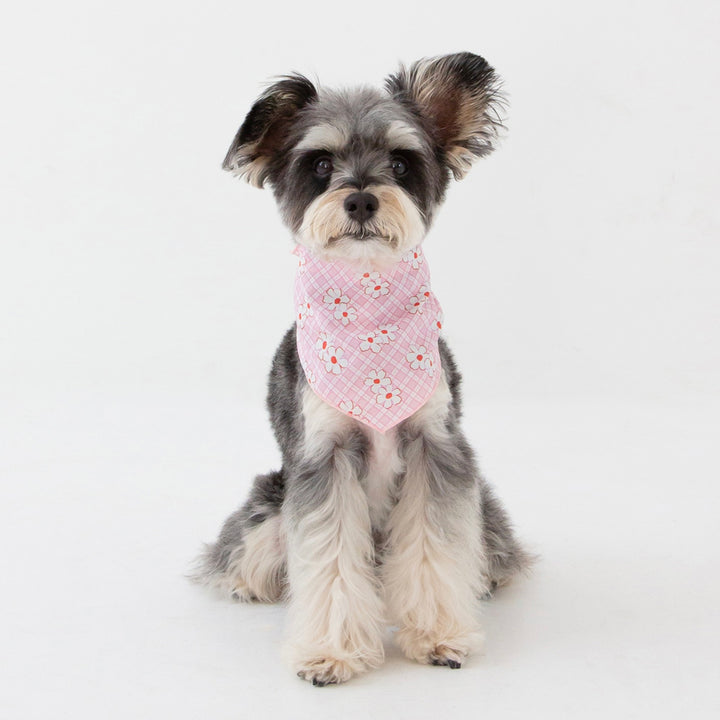 ※予約販売【foreverybari】Rosie Scarf