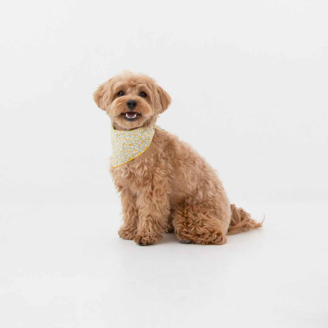 ※予約販売【foreverybari】Danielle Scarf