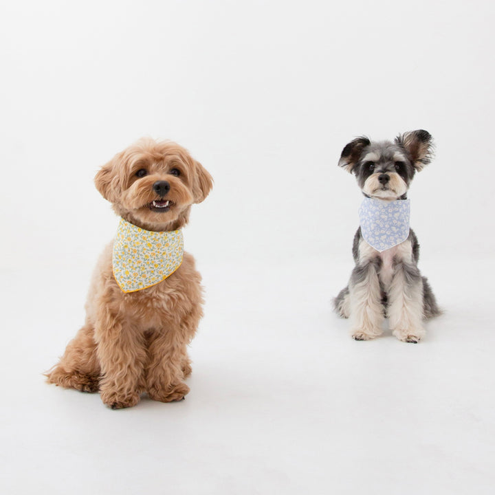 ※予約販売【foreverybari】Danielle Scarf