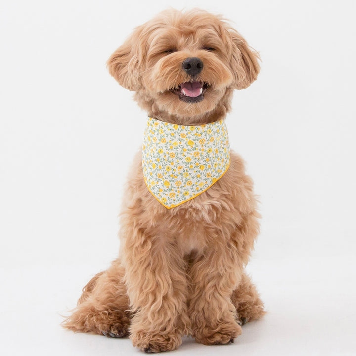 ※予約販売【foreverybari】Danielle Scarf