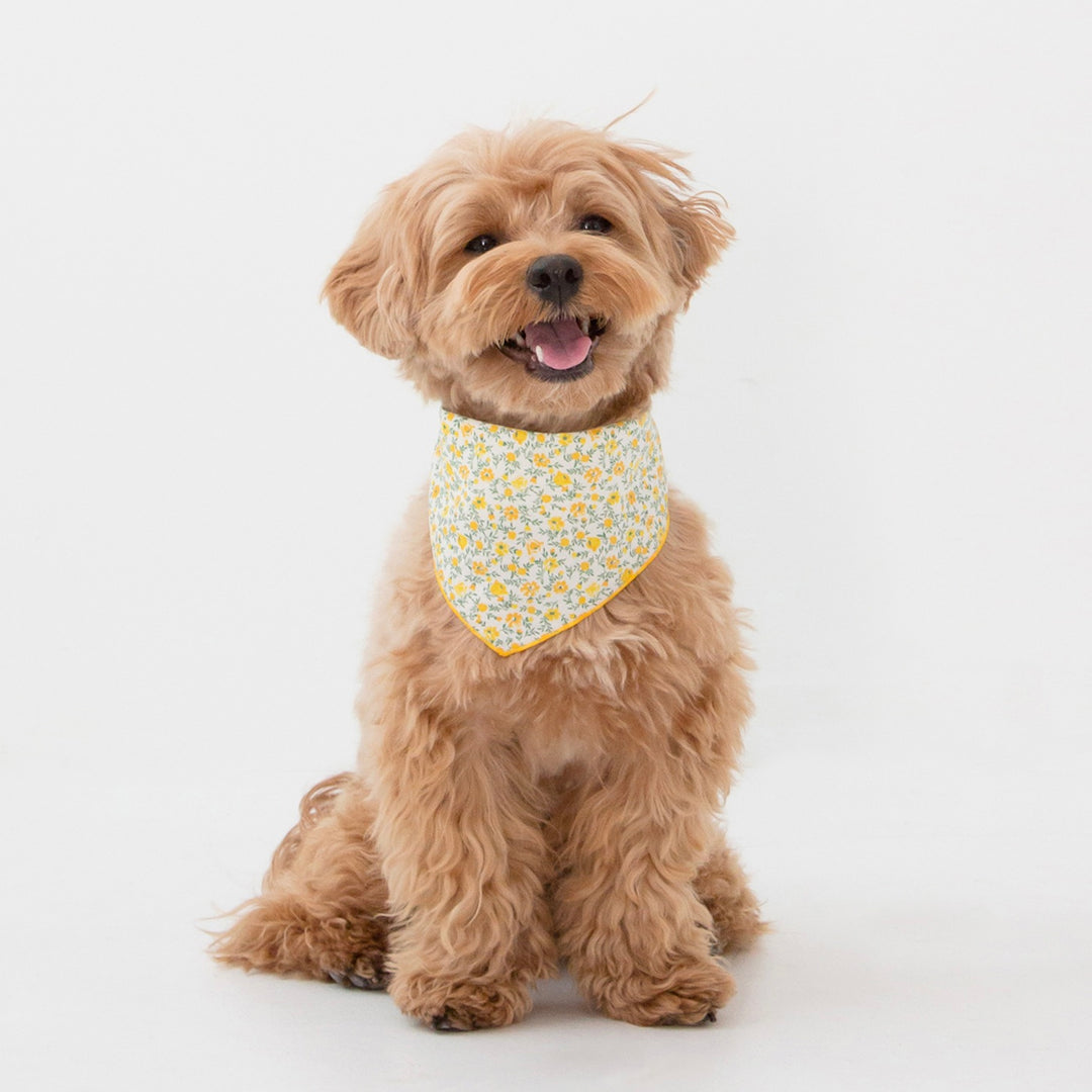 ※予約販売【foreverybari】Danielle Scarf