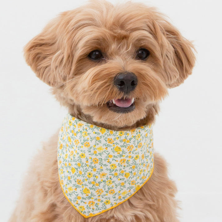 ※予約販売【foreverybari】Danielle Scarf