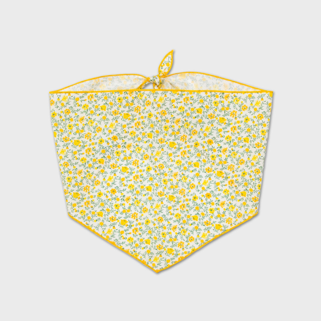 ※予約販売【foreverybari】Danielle Scarf