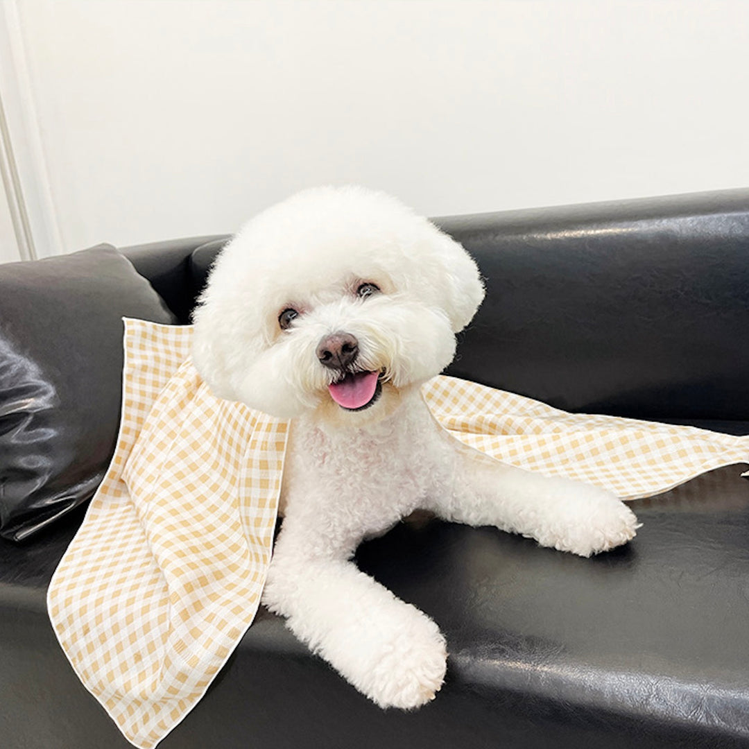 ※予約販売【foreverybari】Gingham Check Summer Blanket