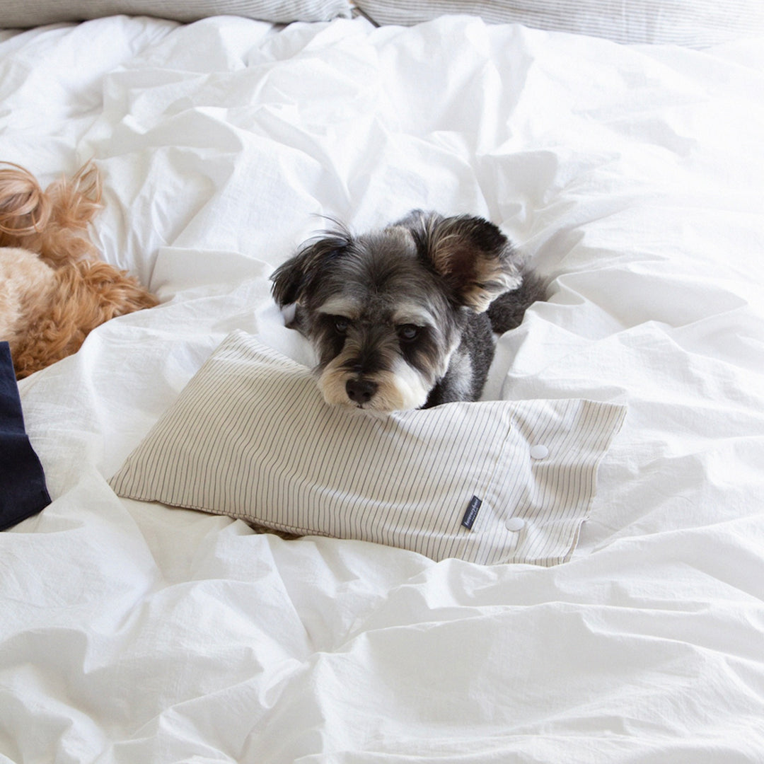 ※予約販売【foreverybari】Cotton Pillow（Cream Stripe）