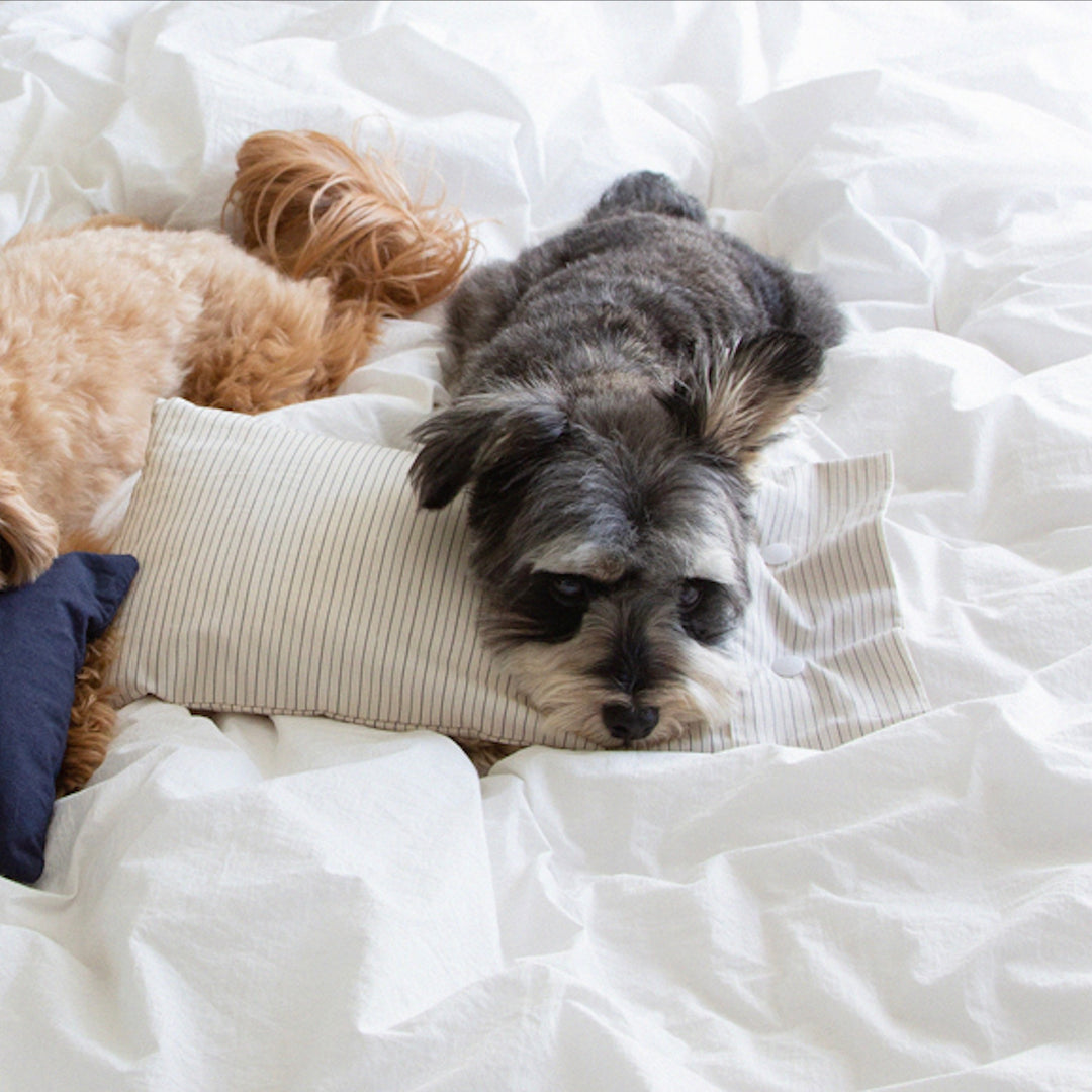 ※予約販売【foreverybari】Cotton Pillow（Cream Stripe）